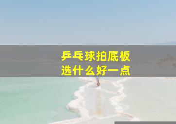 乒乓球拍底板选什么好一点