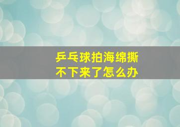 乒乓球拍海绵撕不下来了怎么办