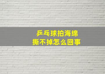 乒乓球拍海绵撕不掉怎么回事