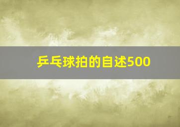 乒乓球拍的自述500