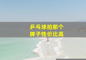 乒乓球拍那个牌子性价比高