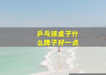 乒乓球桌子什么牌子好一点