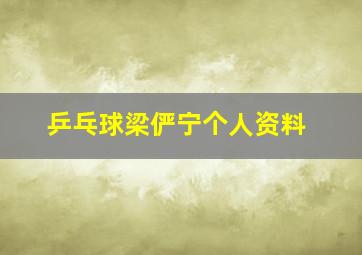 乒乓球梁俨宁个人资料