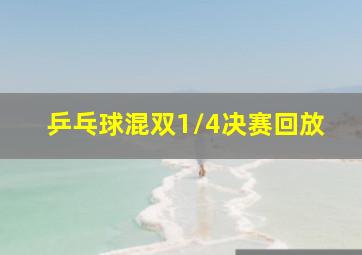 乒乓球混双1/4决赛回放