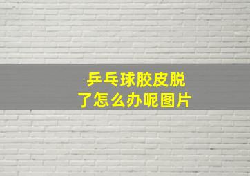 乒乓球胶皮脱了怎么办呢图片