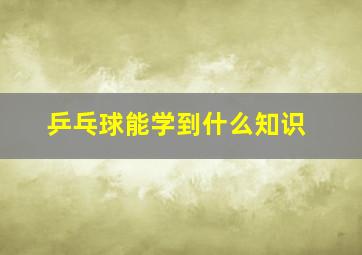 乒乓球能学到什么知识