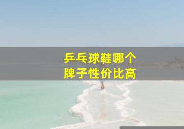 乒乓球鞋哪个牌子性价比高