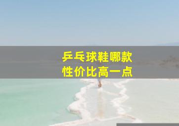 乒乓球鞋哪款性价比高一点