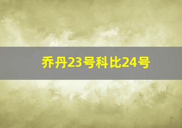 乔丹23号科比24号