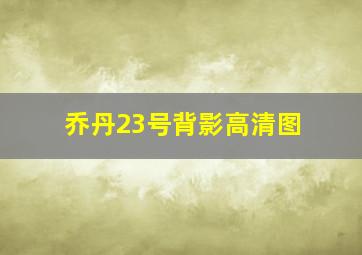 乔丹23号背影高清图