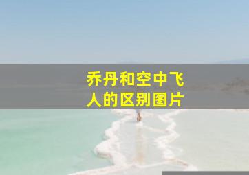 乔丹和空中飞人的区别图片