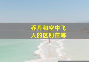 乔丹和空中飞人的区别在哪