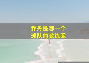 乔丹是哪一个球队的教练呢