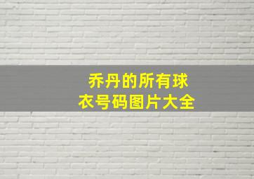 乔丹的所有球衣号码图片大全