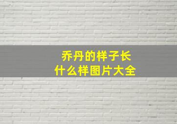 乔丹的样子长什么样图片大全