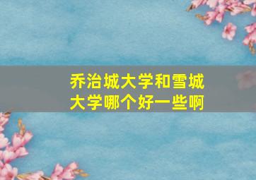 乔治城大学和雪城大学哪个好一些啊