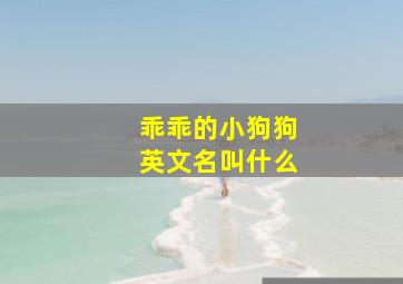 乖乖的小狗狗英文名叫什么