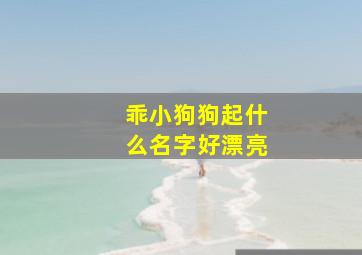 乖小狗狗起什么名字好漂亮