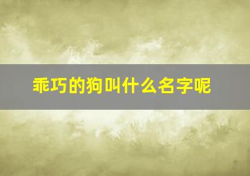 乖巧的狗叫什么名字呢