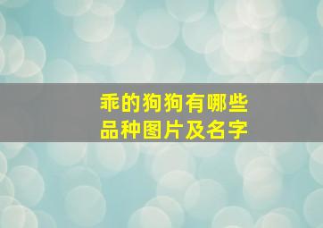 乖的狗狗有哪些品种图片及名字