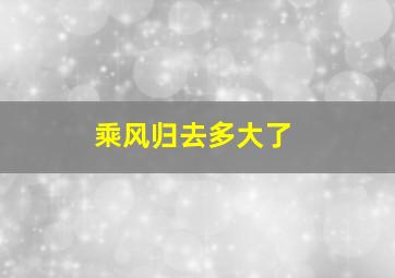 乘风归去多大了