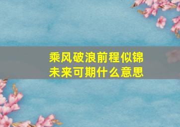 乘风破浪前程似锦未来可期什么意思