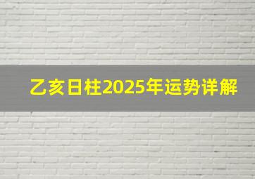 乙亥日柱2025年运势详解