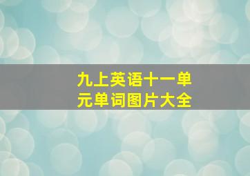 九上英语十一单元单词图片大全