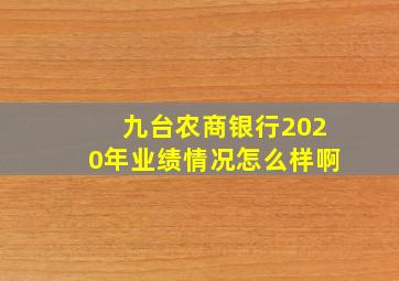 九台农商银行2020年业绩情况怎么样啊