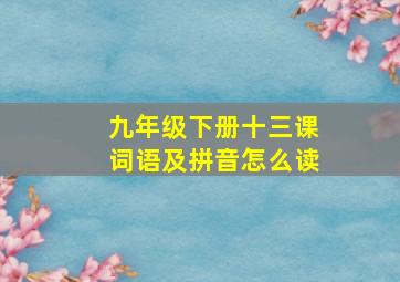 九年级下册十三课词语及拼音怎么读