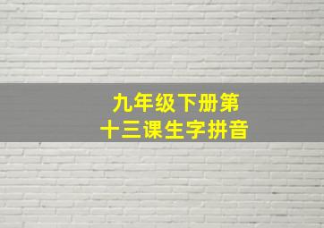 九年级下册第十三课生字拼音