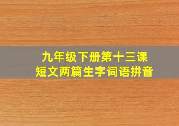 九年级下册第十三课短文两篇生字词语拼音