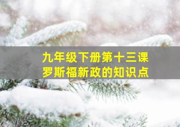 九年级下册第十三课罗斯福新政的知识点