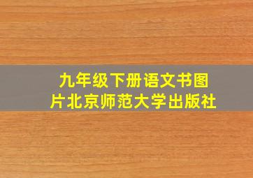 九年级下册语文书图片北京师范大学出版社