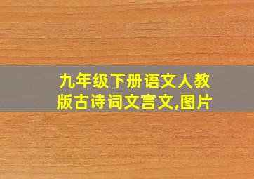 九年级下册语文人教版古诗词文言文,图片