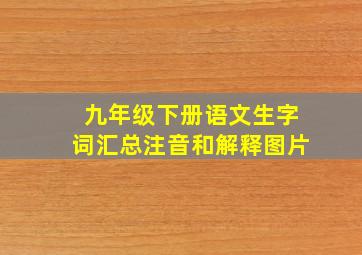 九年级下册语文生字词汇总注音和解释图片