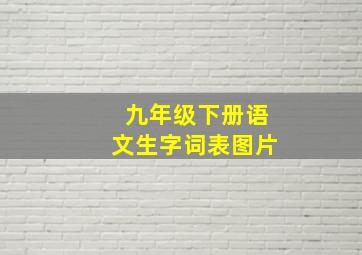 九年级下册语文生字词表图片