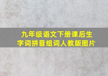 九年级语文下册课后生字词拼音组词人教版图片