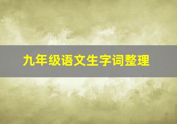 九年级语文生字词整理