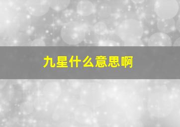 九星什么意思啊