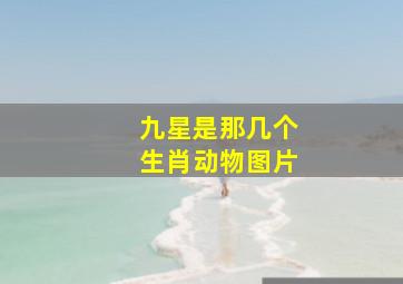 九星是那几个生肖动物图片