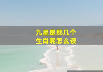 九星是那几个生肖呢怎么读