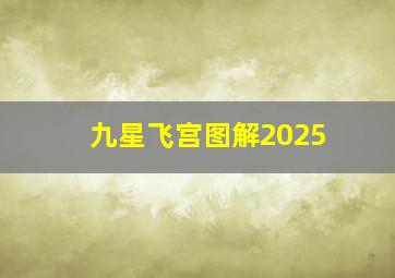 九星飞宫图解2025