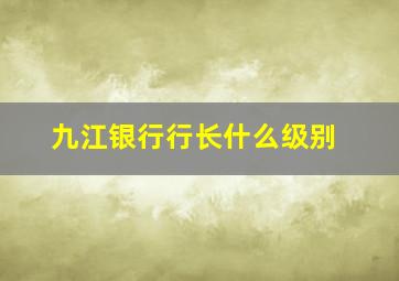 九江银行行长什么级别