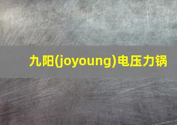 九阳(joyoung)电压力锅