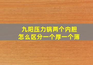 九阳压力锅两个内胆怎么区分一个厚一个薄