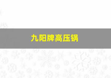 九阳牌高压锅