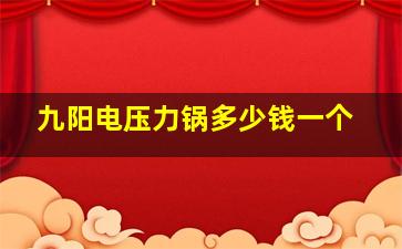 九阳电压力锅多少钱一个