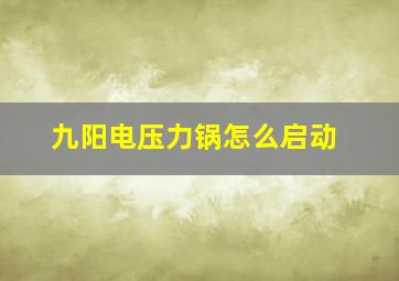 九阳电压力锅怎么启动