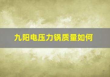 九阳电压力锅质量如何